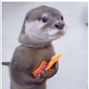 Meet your Posher, Allison